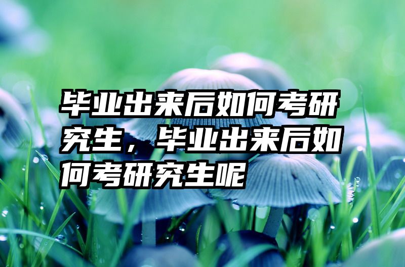 毕业出来后如何考研究生，毕业出来后如何考研究生呢