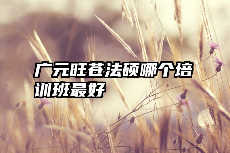 广元旺苍法硕哪个培训班最好