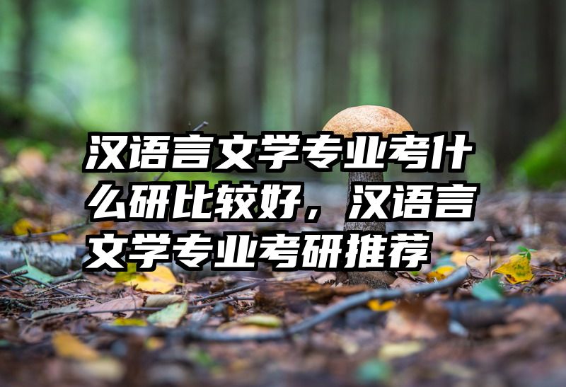 汉语言文学专业考什么研比较好,汉语言文学专业考研推荐