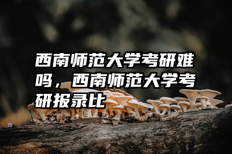 西南师范大学考研难吗,西南师范大学考研报录比