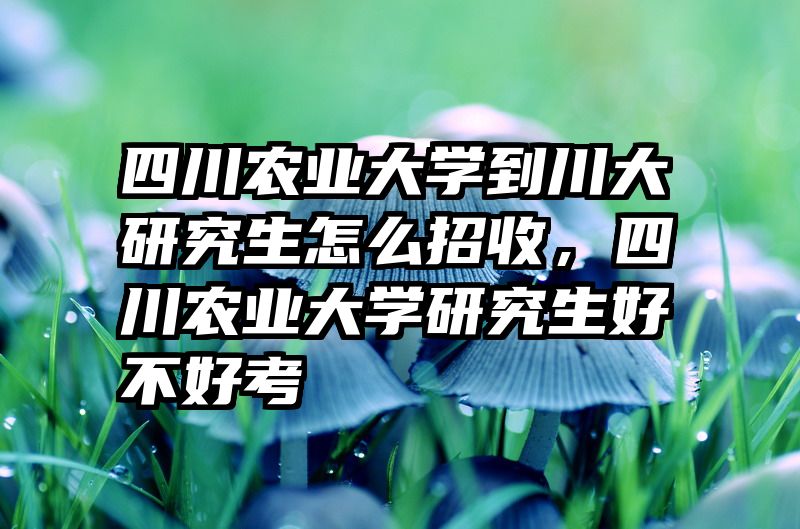 四川农业大学到川大研究生怎么招收，四川农业大学研究生好不好考