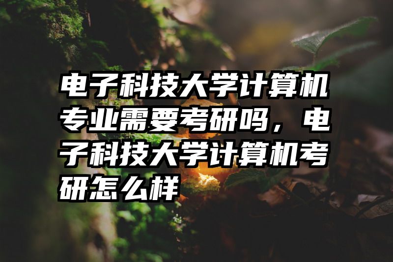 电子科技大学计算机专业需要考研吗，电子科技大学计算机考研怎么样