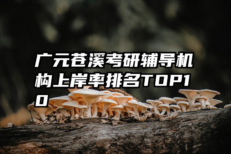 广元苍溪考研辅导机构上岸率排名TOP10