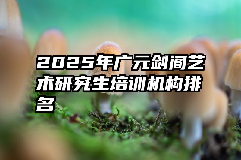 2025年广元剑阁艺术研究生培训机构排名
