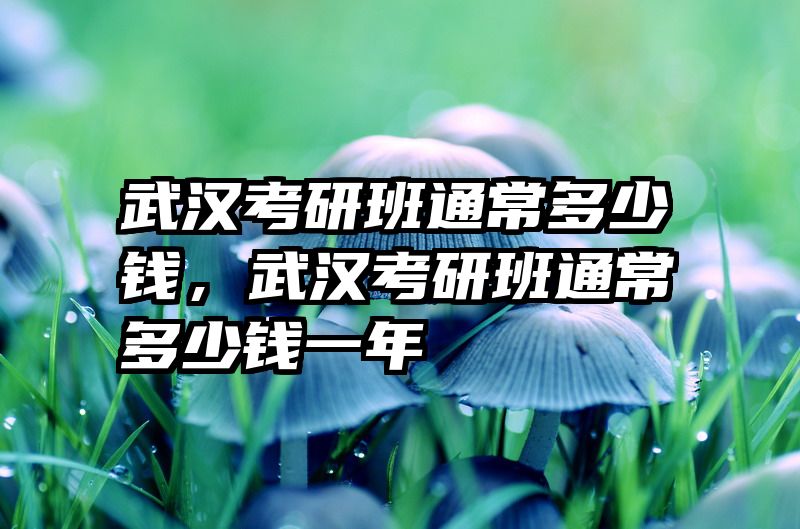 武汉考研班通常多少钱,武汉考研班通常多少钱一年