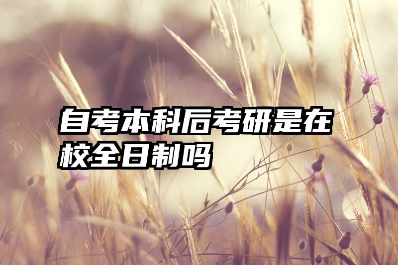 自考本科后考研是在校全日制吗
