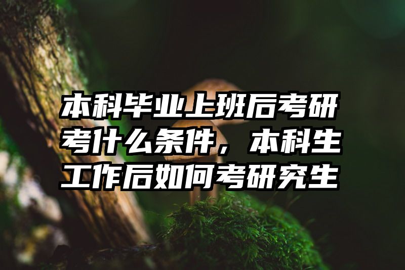 本科毕业上班后考研考什么条件,本科生工作后如何考研究生