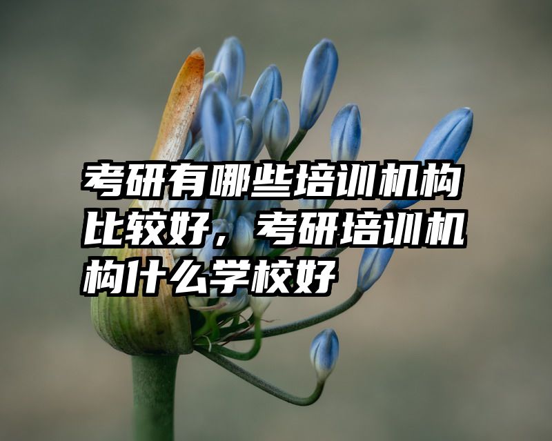 考研有哪些培训机构比较好，考研培训机构什么学校好