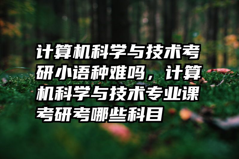 计算机科学与技术考研小语种难吗,计算机科学与技术专业课考研考哪些科目