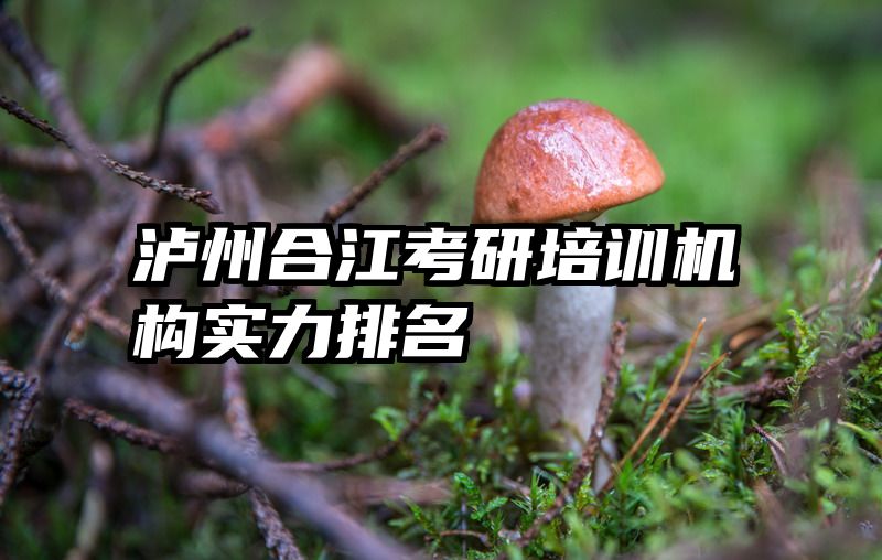 泸州合江考研培训机构实力排名