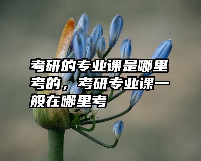 考研的专业课是哪里考的，考研专业课一般在哪里考
