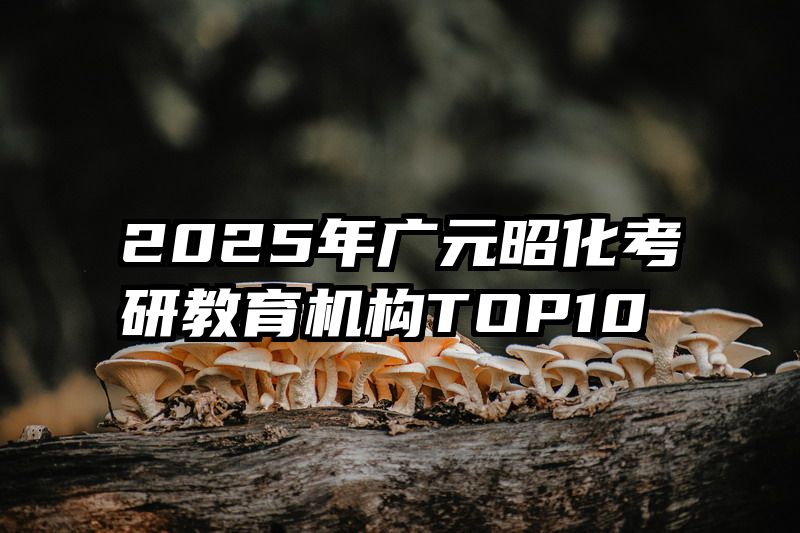 2025年广元昭化考研教育机构TOP10
