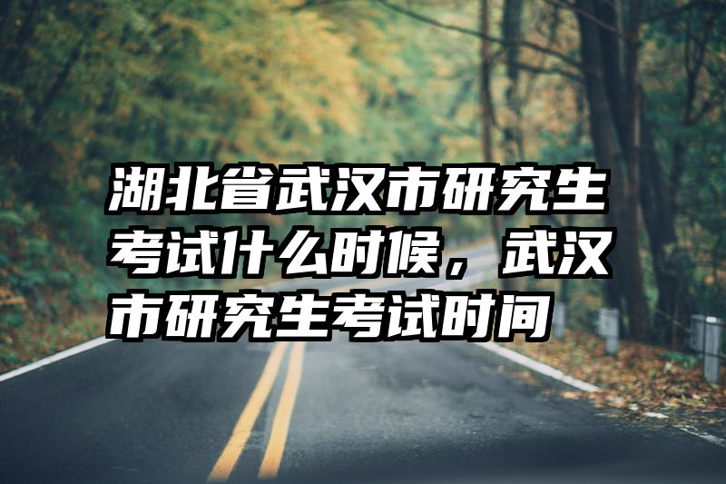 湖北省武汉市研究生考试什么时候,武汉市研究生考试时间