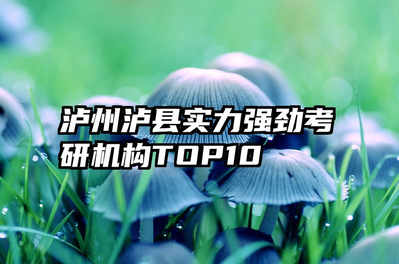 泸州泸县实力强劲考研机构TOP10