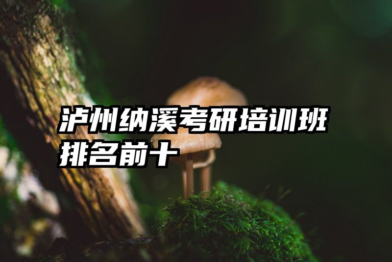 泸州纳溪考研培训班排名前十
