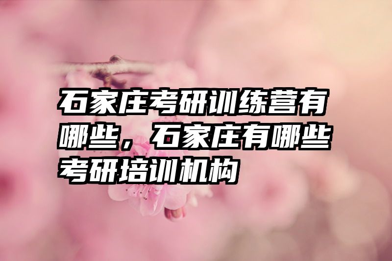 石家庄考研训练营有哪些,石家庄有哪些考研培训机构