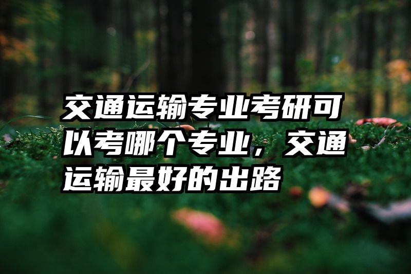 交通运输专业考研可以考哪个专业,交通运输最好的出路