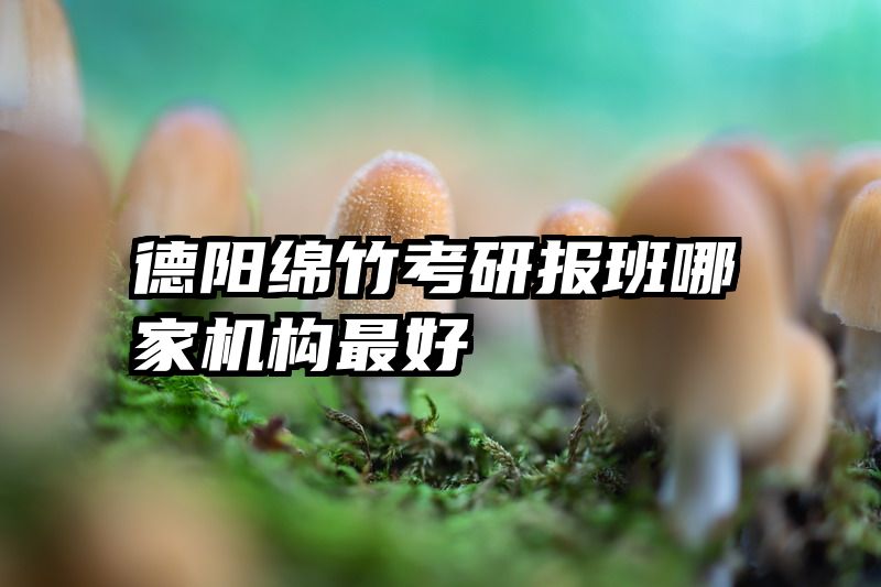 德阳绵竹考研报班哪家机构最好