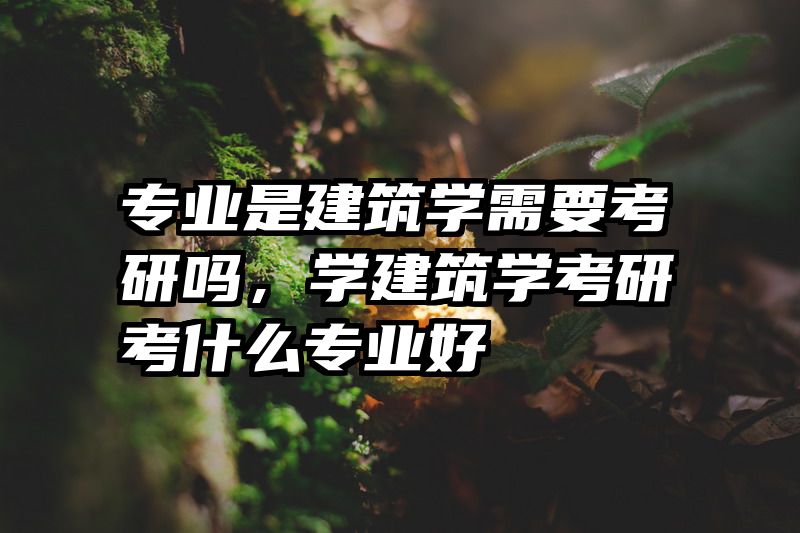 专业是建筑学需要考研吗，学建筑学考研考什么专业好