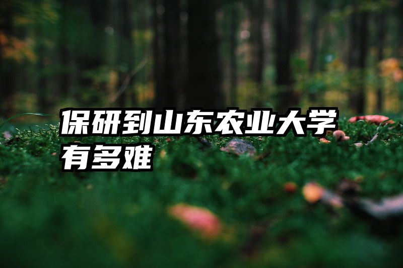 保研到山东农业大学有多难