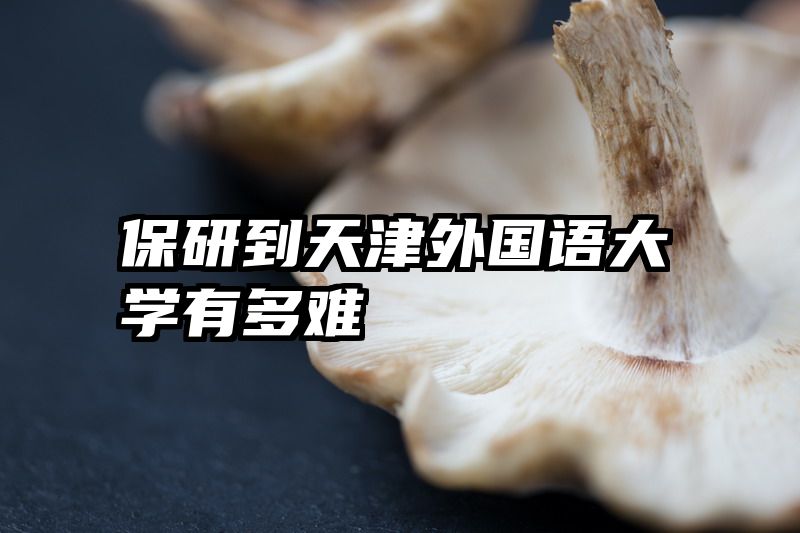 保研到天津外国语大学有多难