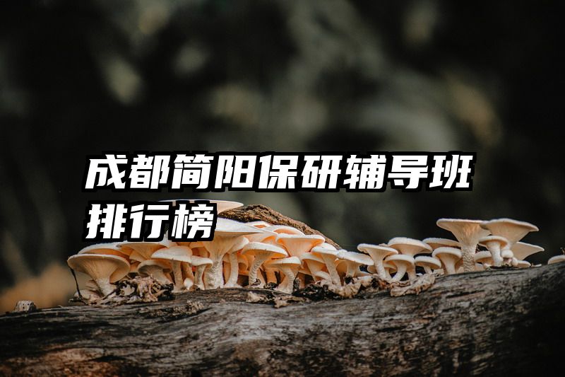 成都简阳保研辅导班排行榜