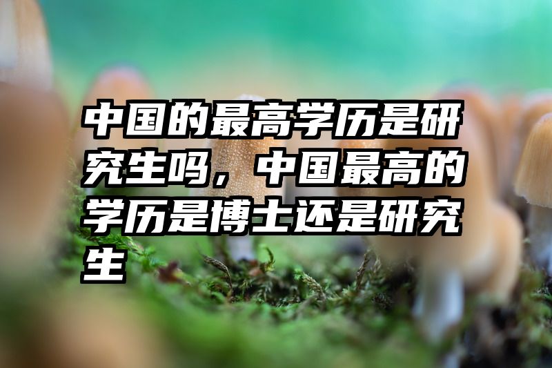 中国的最高学历是研究生吗,中国最高的学历是博士还是研究生