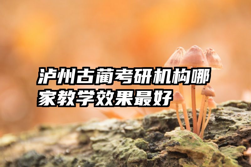 泸州古蔺考研机构哪家教学效果最好