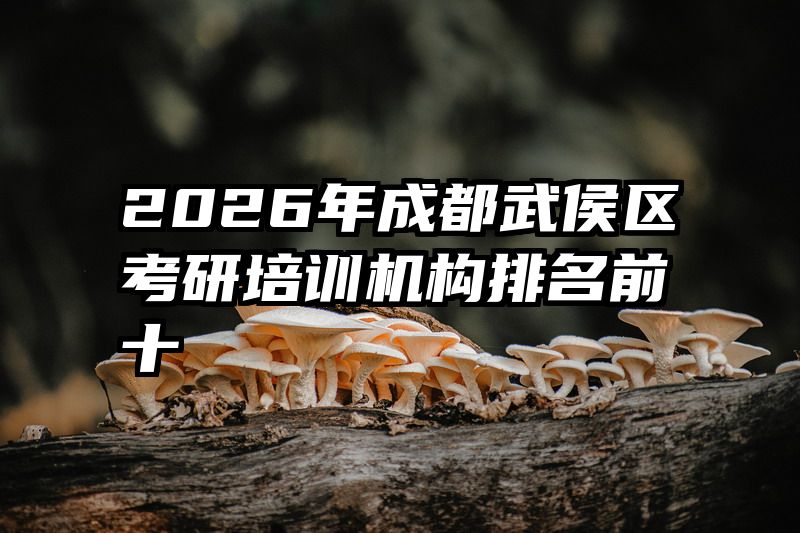 2026年成都武侯区考研培训机构排名前十