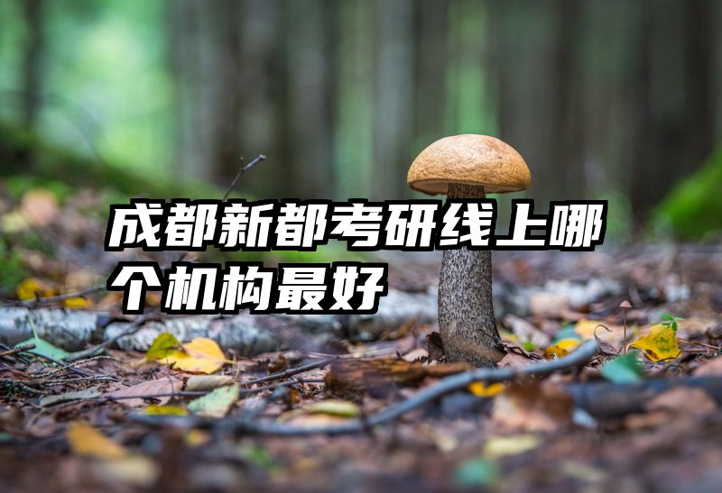 成都新都考研线上哪个机构最好