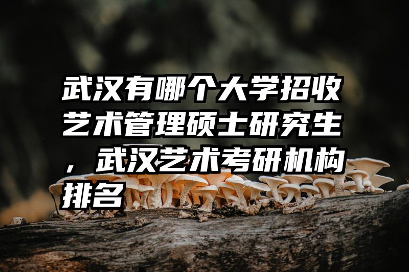 武汉有哪个大学招收艺术管理硕士研究生,武汉艺术考研机构排名