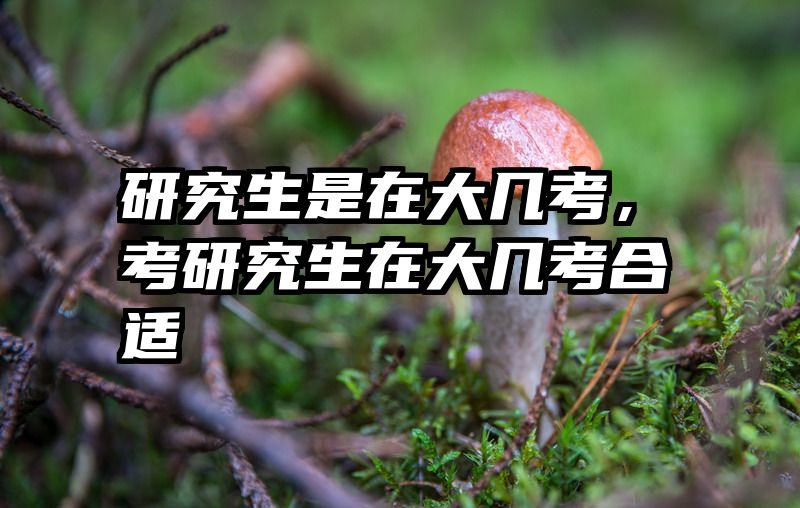 研究生是在大几考,考研究生在大几考合适