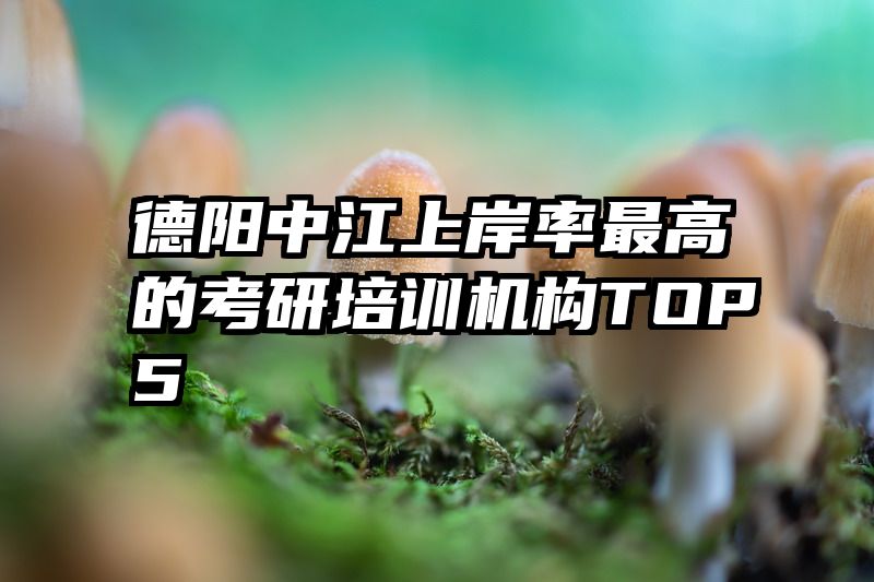 德阳中江上岸率最高的考研培训机构TOP5