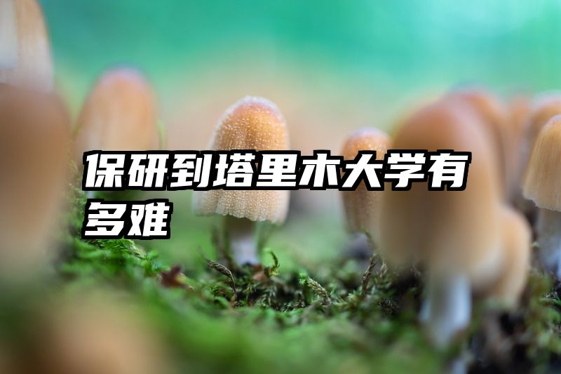 保研到塔里木大学有多难