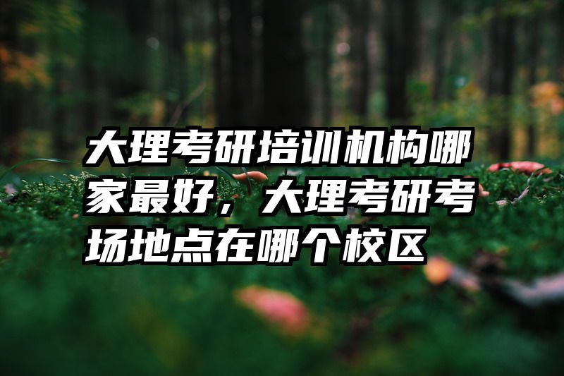 大理考研培训机构哪家最好,大理考研考场地点在哪个校区