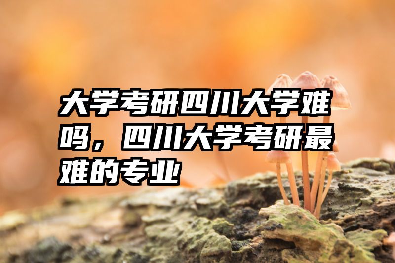 大学考研四川大学难吗，四川大学考研最难的专业