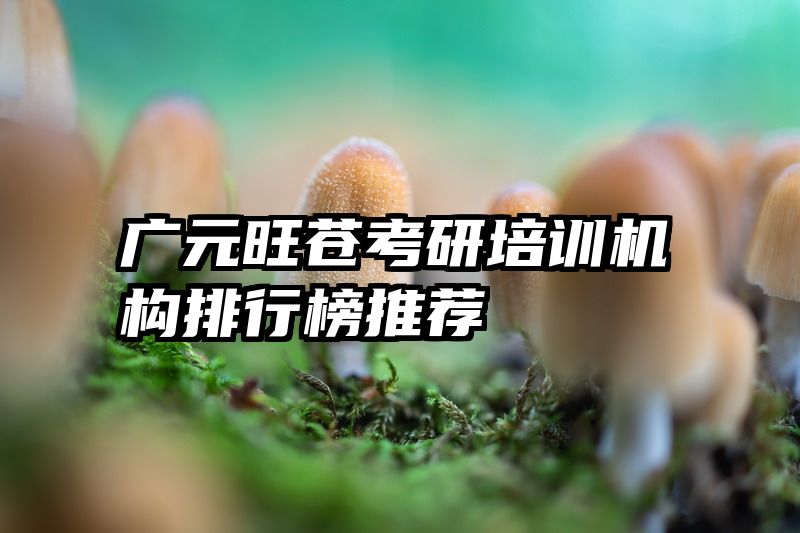广元旺苍考研培训机构排行榜推荐