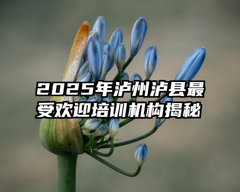 2025年泸州泸县最受欢迎培训机构揭秘
