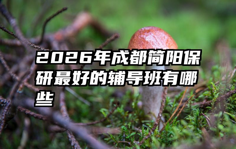 2026年成都简阳保研最好的辅导班有哪些