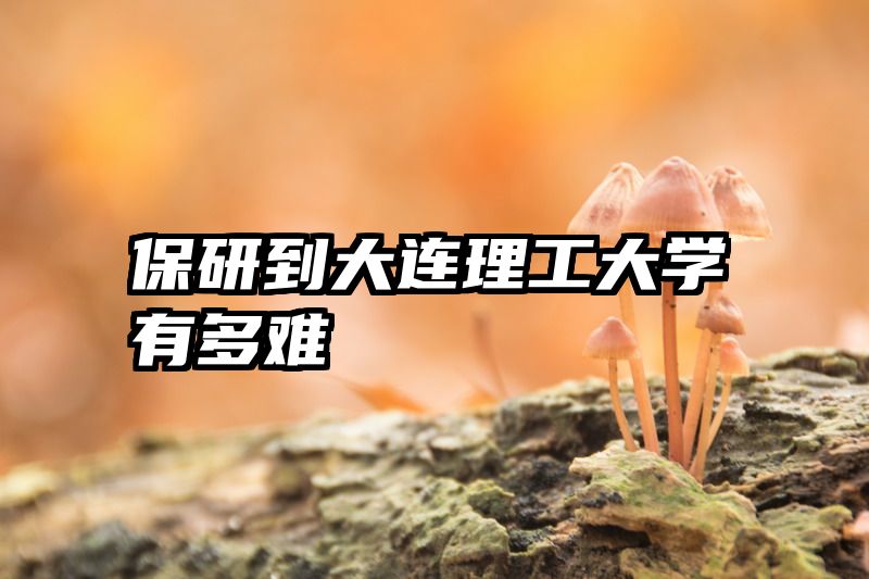 保研到大连理工大学有多难