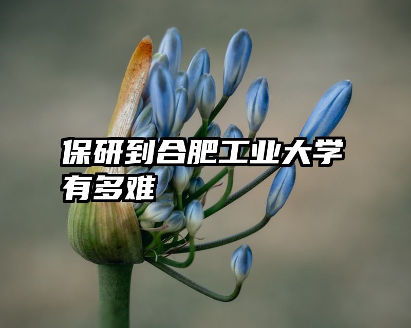 保研到合肥工业大学有多难
