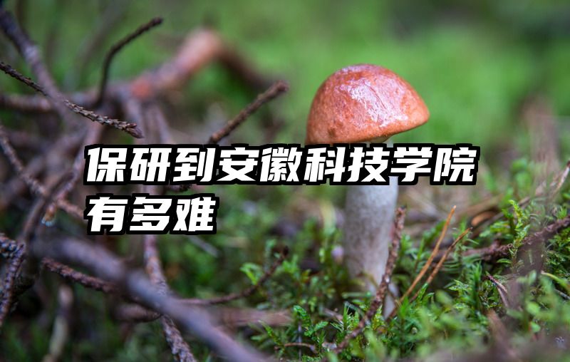 保研到安徽科技学院有多难