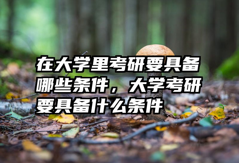 在大学里考研要具备哪些条件,大学考研要具备什么条件