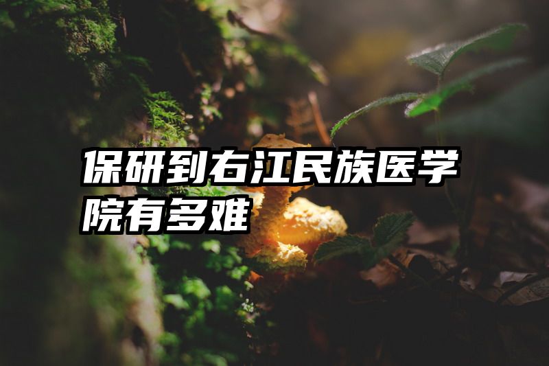 保研到右江民族医学院有多难