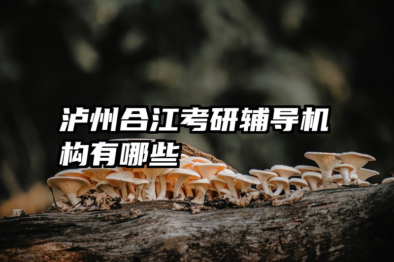 泸州合江考研辅导机构有哪些