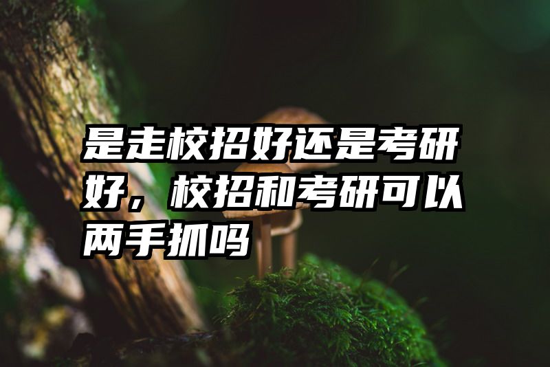 是走校招好还是考研好,校招和考研可以两手抓吗
