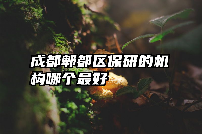 成都郫都区保研的机构哪个最好