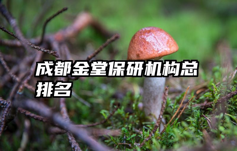 成都金堂保研机构总排名