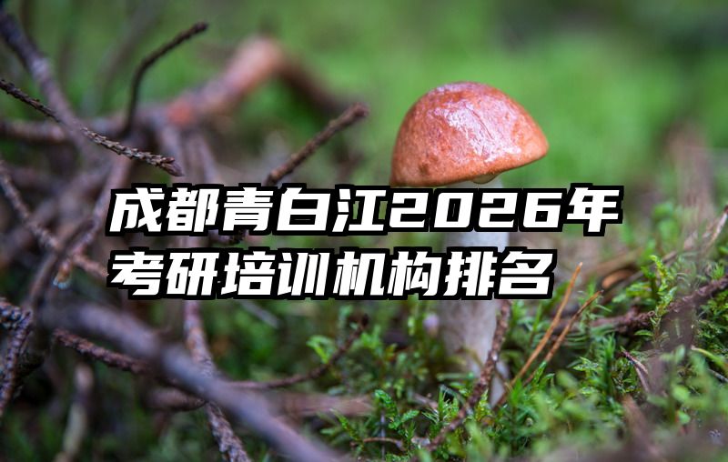 成都青白江2026年考研培训机构排名