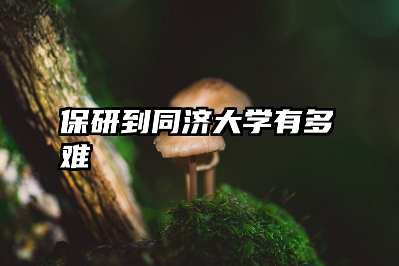 保研到同济大学有多难